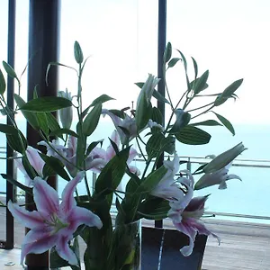 https://biu-biu-villa.ubudhotelsnow.com